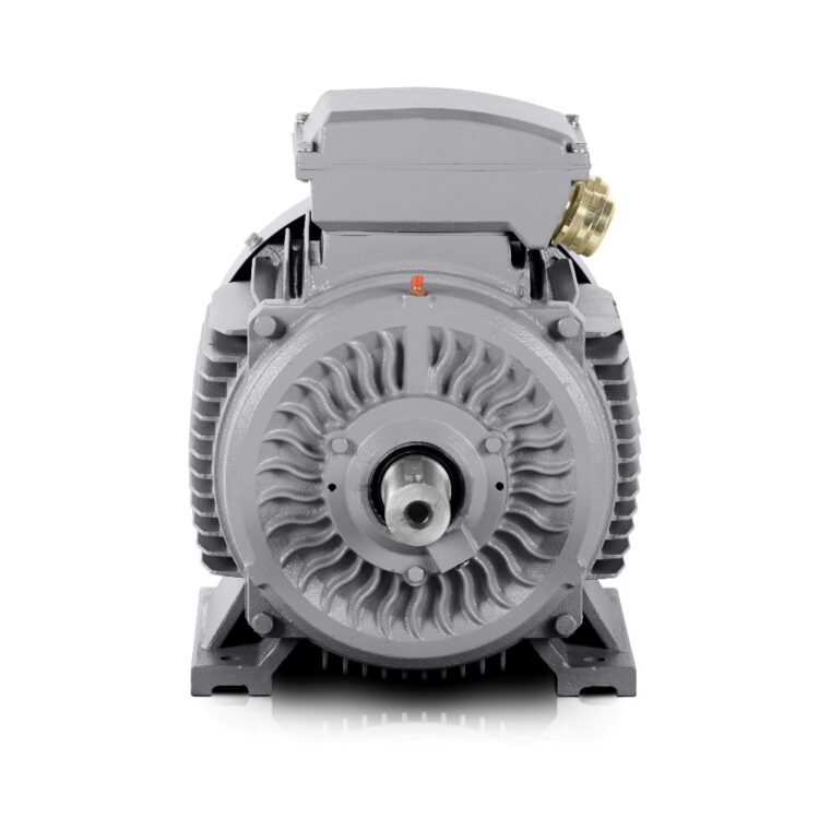 Elektrisk motor 160 kW 400V/690V 3000 rpm (IE3-3LC) Danmark salg