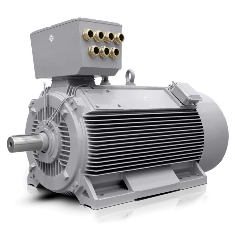 Lavspændings elektrisk motor 450 kW 400V/690V 3000 rpm (IE3-H17RL) Danmark Salg