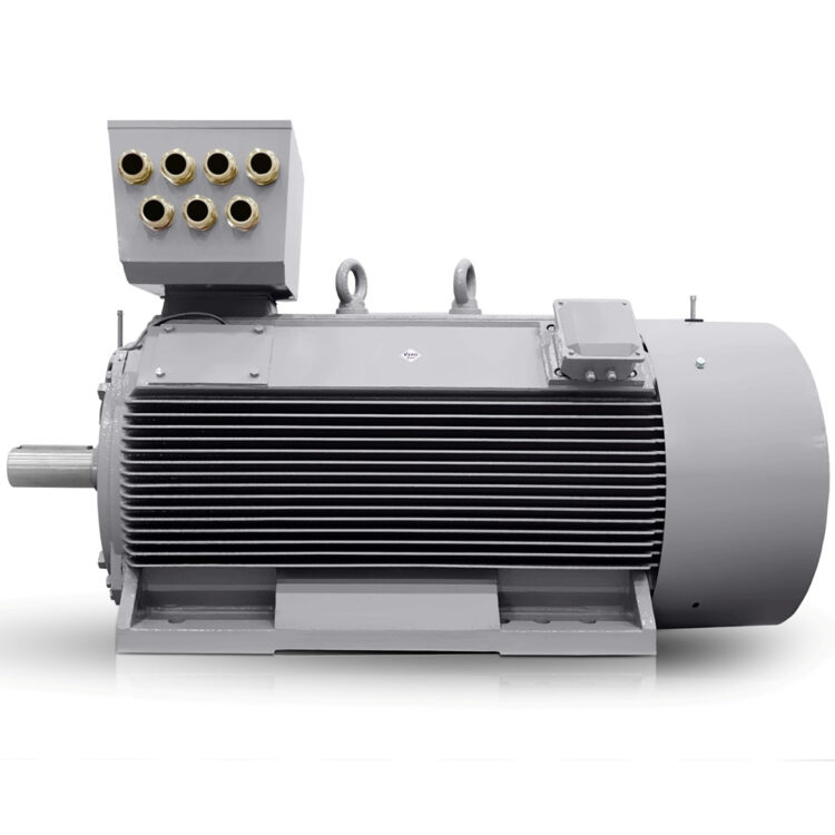 Lavspændings elektrisk motor 800 kW 400V/690V 3000 rpm (IE3-H17RL) Danmark Salg
