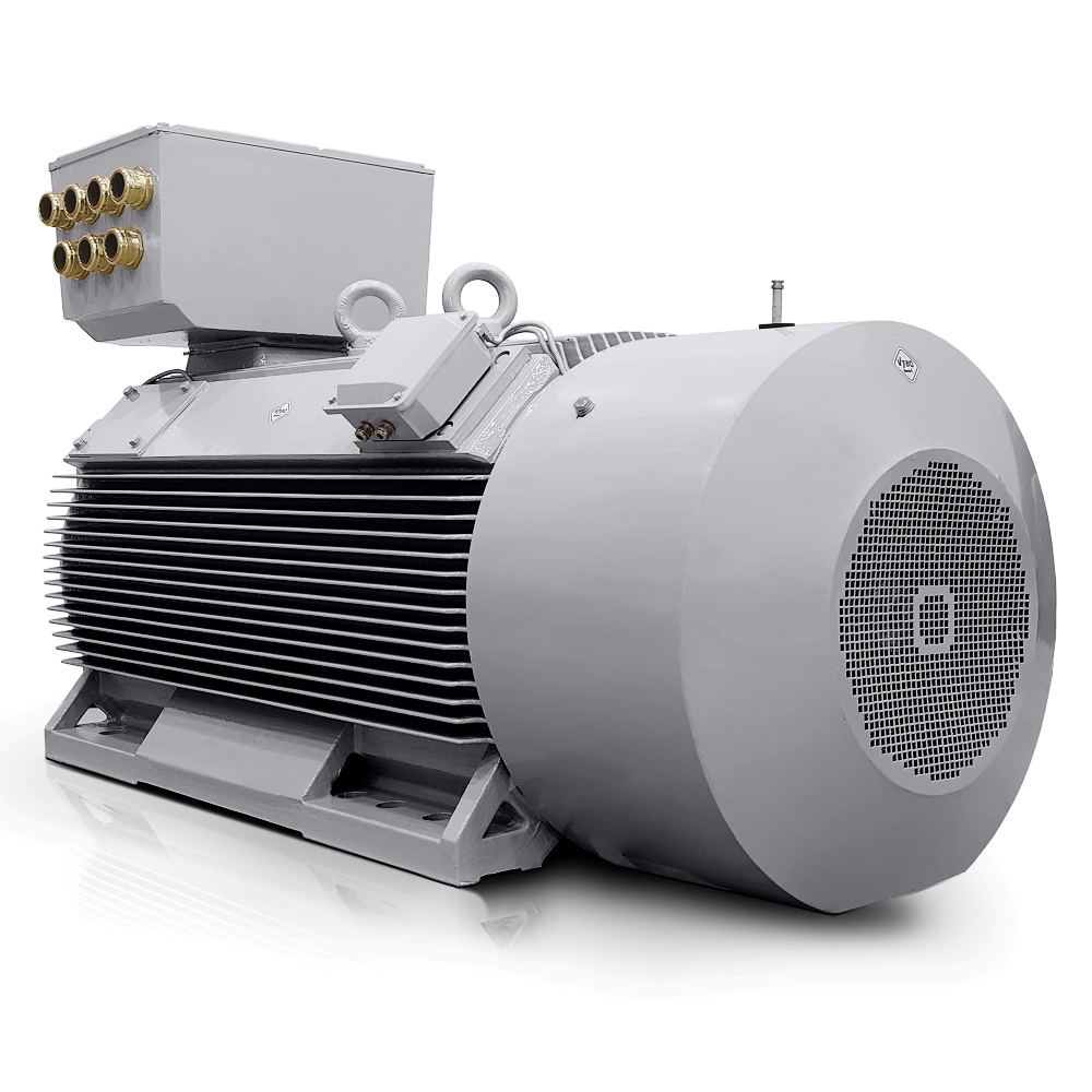 Lavspændings elektrisk motor 900 kW 400V/690V 3000 rpm (IE3-H17RL) Danmark Salg